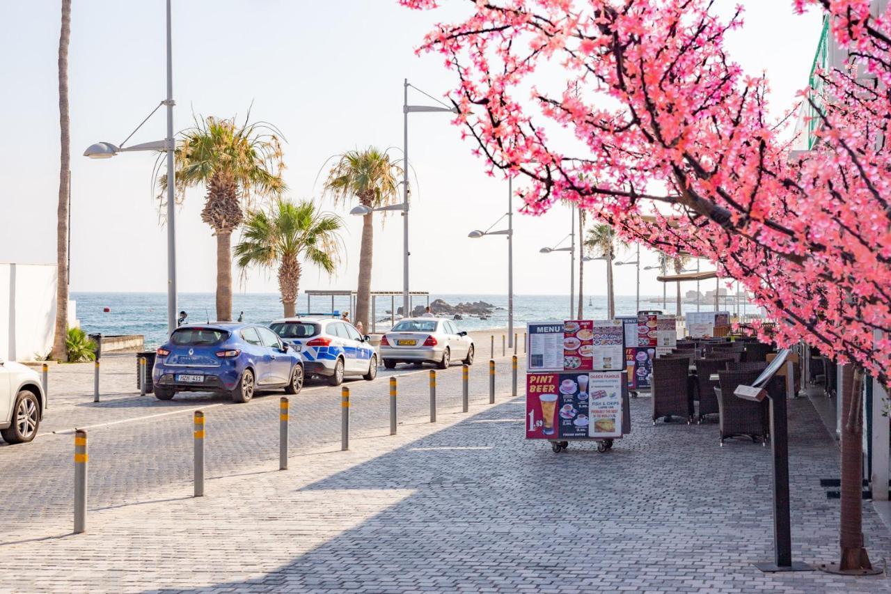 Light House - Seafront Cosy Studio With Library Paphos 外观 照片